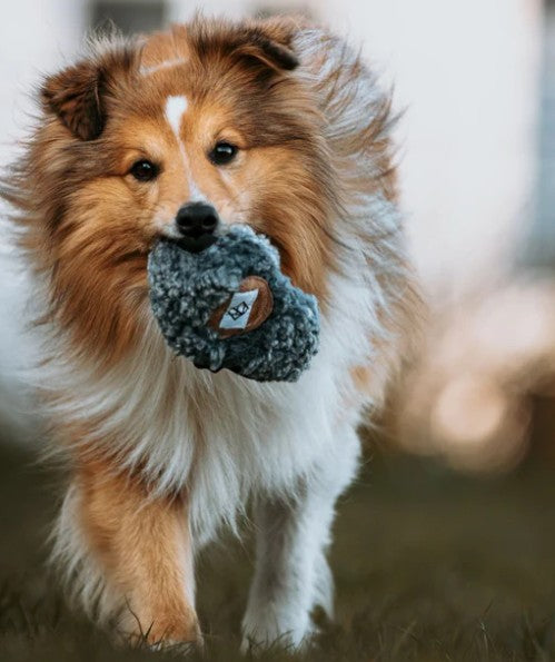 Hundlands Belönningsgömma - Godbidsbold