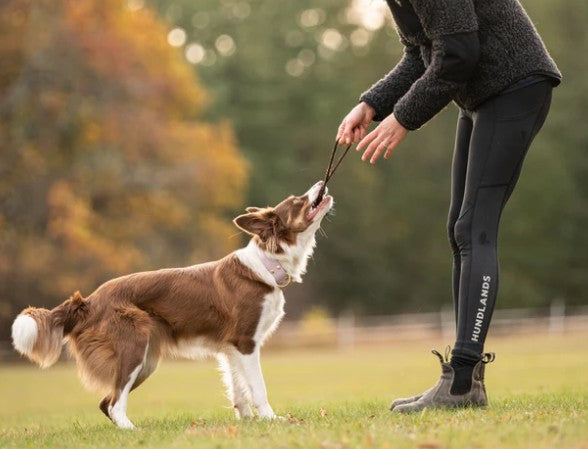 Hundlands Leggings FAVE- Hundesport