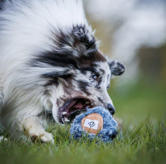 Hundlands Belönningsgömma - Godbidsbold