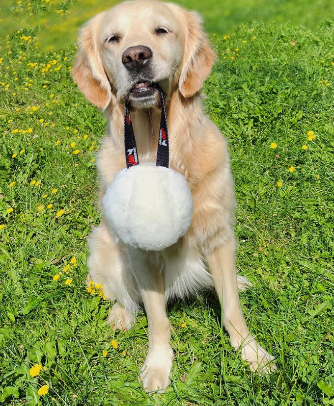 Jami Hundsport Bullis - Dog Training Toys