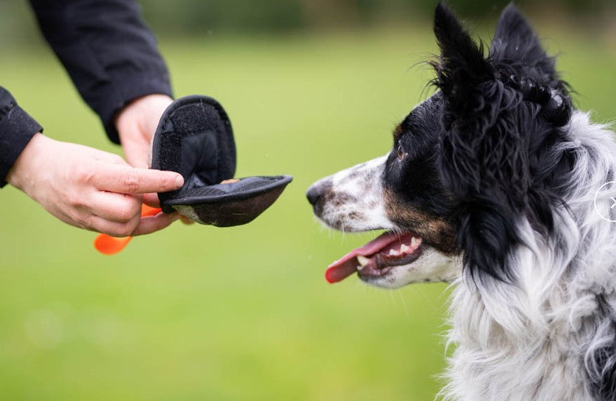 Joy of DogSports Sweetie Ball - Godbidsbold