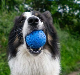 KIWI WALKER Let's Play Ball MAXI Ø 7 cm