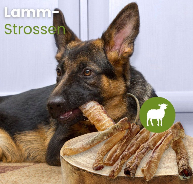 Lammeluftrør - 100% natursnack - Højt proteinindhold