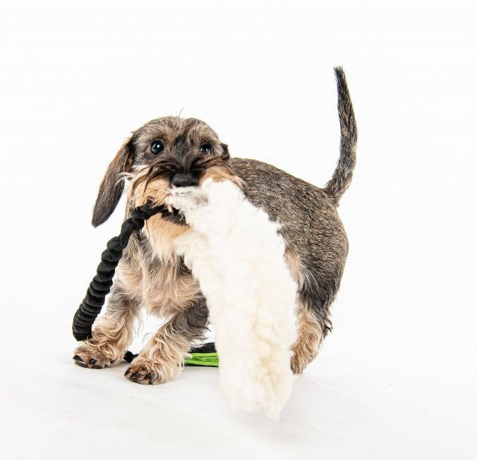 Psy Bungee Tug with real fur - Reward toy for dog sports