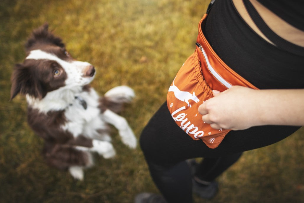 Løype Treat Bag - Smart og praktisk