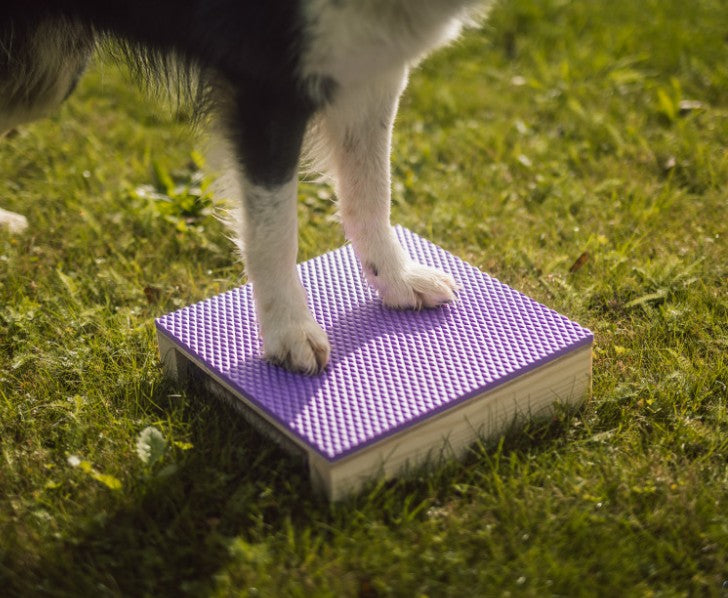 Løype Platform Hamtal - 30 x 30 cm. Hundetræning