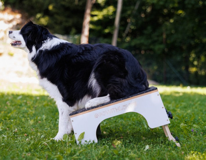 Løype Tarflex - Justerbar platform til hundesport