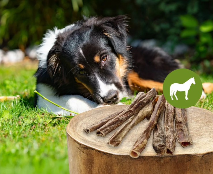 Hestestrube - 100% natursnack, Fedtfattig