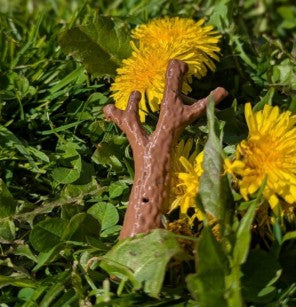 Nose Work Forest- Udstyr til Nose Work træning