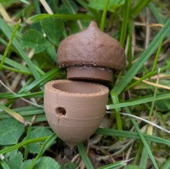 Nose Work Forest Acorn- Udstyr til Nose Work træning