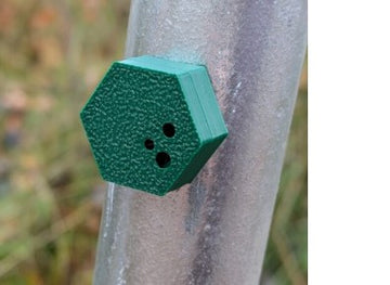 Nose Work Beholder Hexagon  grøn- Udstyr til Nose Work træning