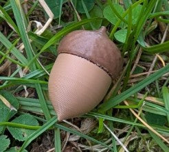 Nose Work Forest Acorn- Udstyr til Nose Work træning