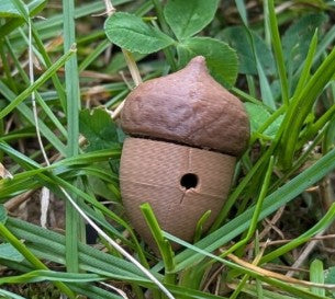 Nose Work Forest Acorn- Udstyr til Nose Work træning