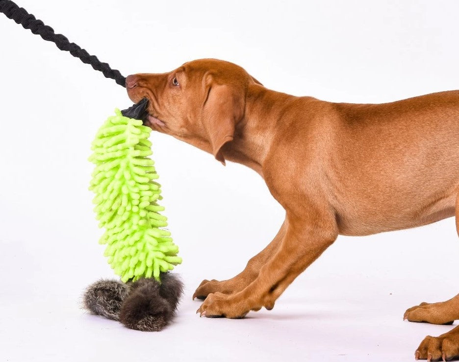 Psy Bungee Quaste Tug - Trækkelegetøj til hundetræning