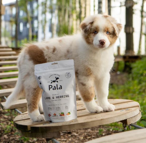 Pala Recipe # 7 Lam og sild - Raw Food Godbidder