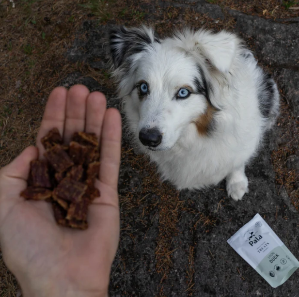Pala Treats - And