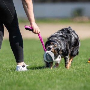 Joy of dogsports BungeeChewie Ball - 4 farver