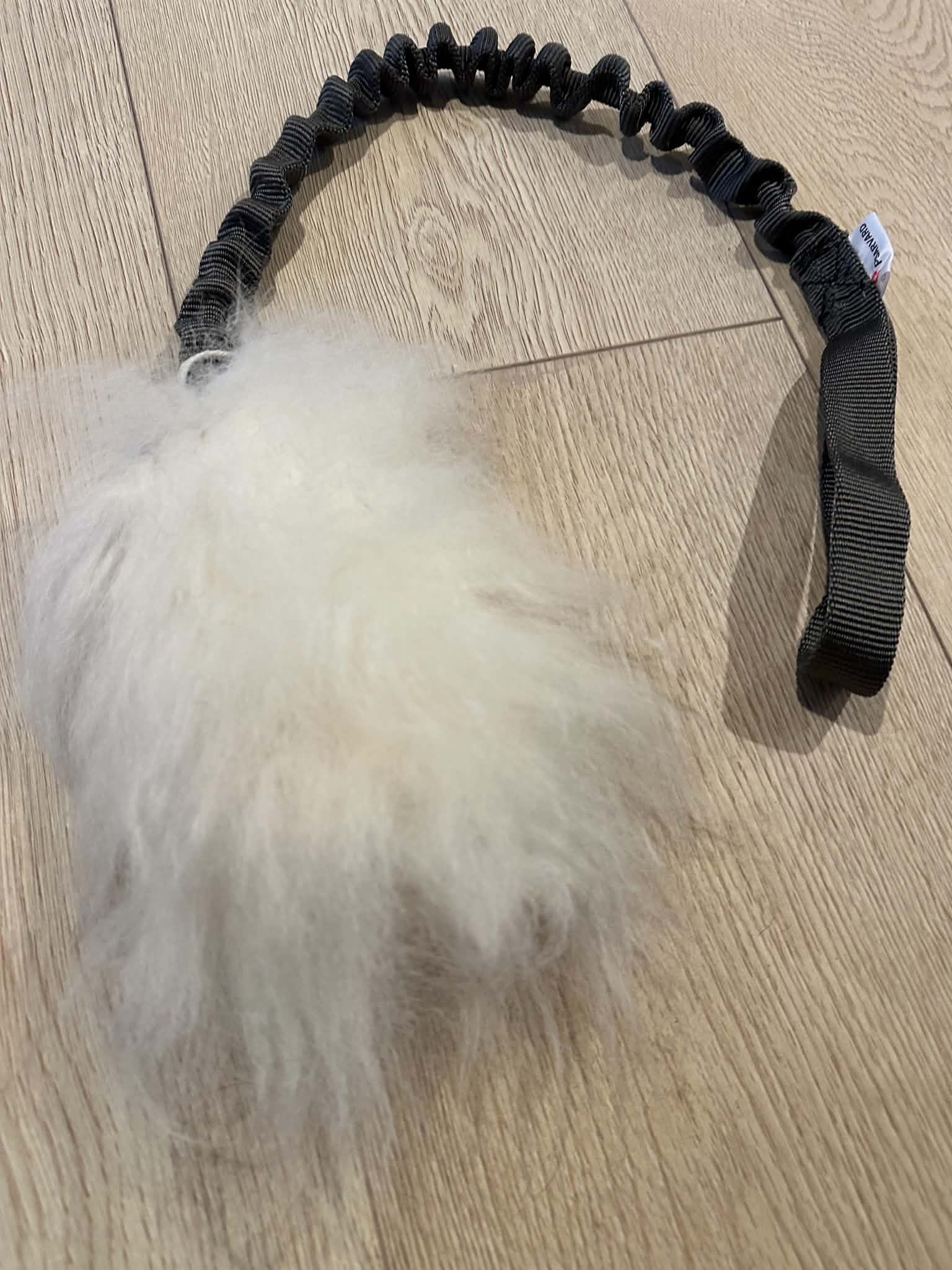 Psavard Short Sheep bungee - belønningslegetøj