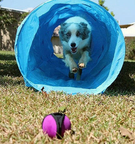 Puppingtons Pod, Purple - Godbidsbold