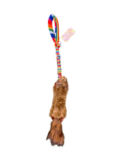 Rainbeau Squirrel bungee  - Belønningslegetøj