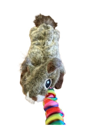 Rainbeau Squirrel bungee  - Belønningslegetøj