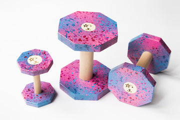 Sirius Apport Multi Color - Apporter til Hundesport
