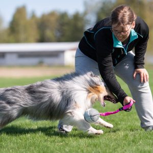 Joy of dogsports BungeeChewie Ball - 4 farver