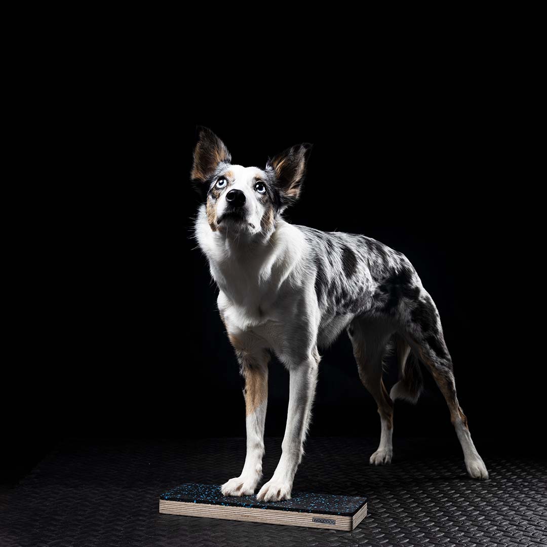 WOODDOG Narrow Target Standard  30x12x3cm.