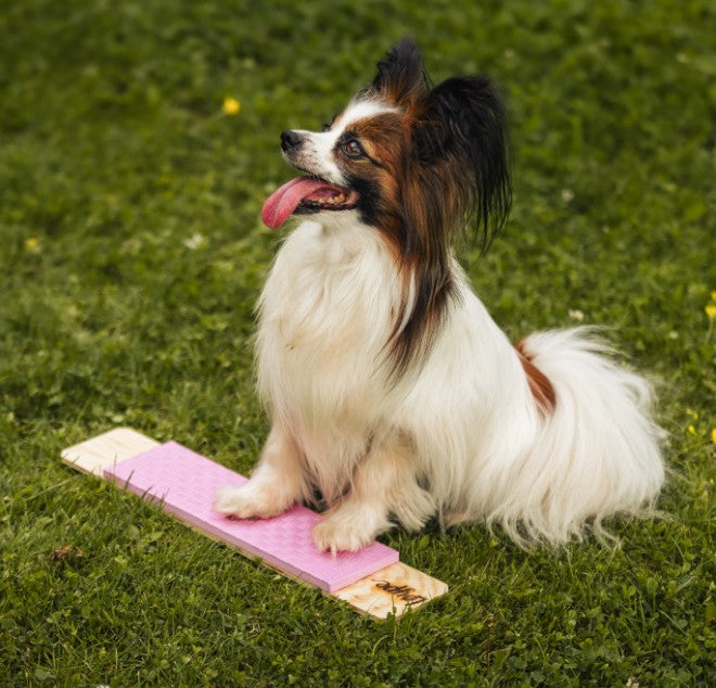 Løype Target Strivee Pink- Hundetræning