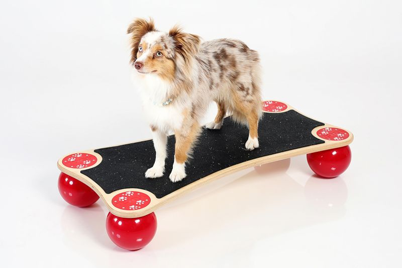 Togu Balanza® Ballstep® ANIMAL