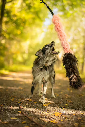 Doggie-Zen Bungee Fake Fur & Sheepskin - Ekstra langt hundelegetøj