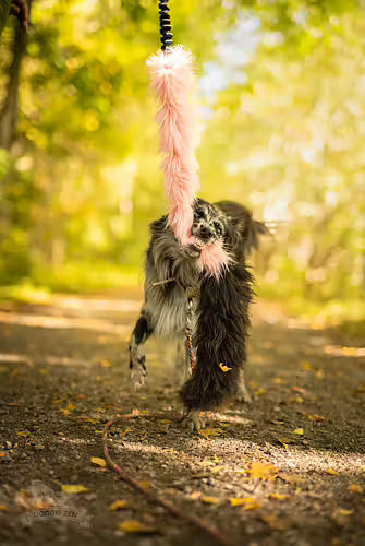 Doggie-Zen Bungee Fake Fur & Sheepskin - Ekstra langt hundelegetøj