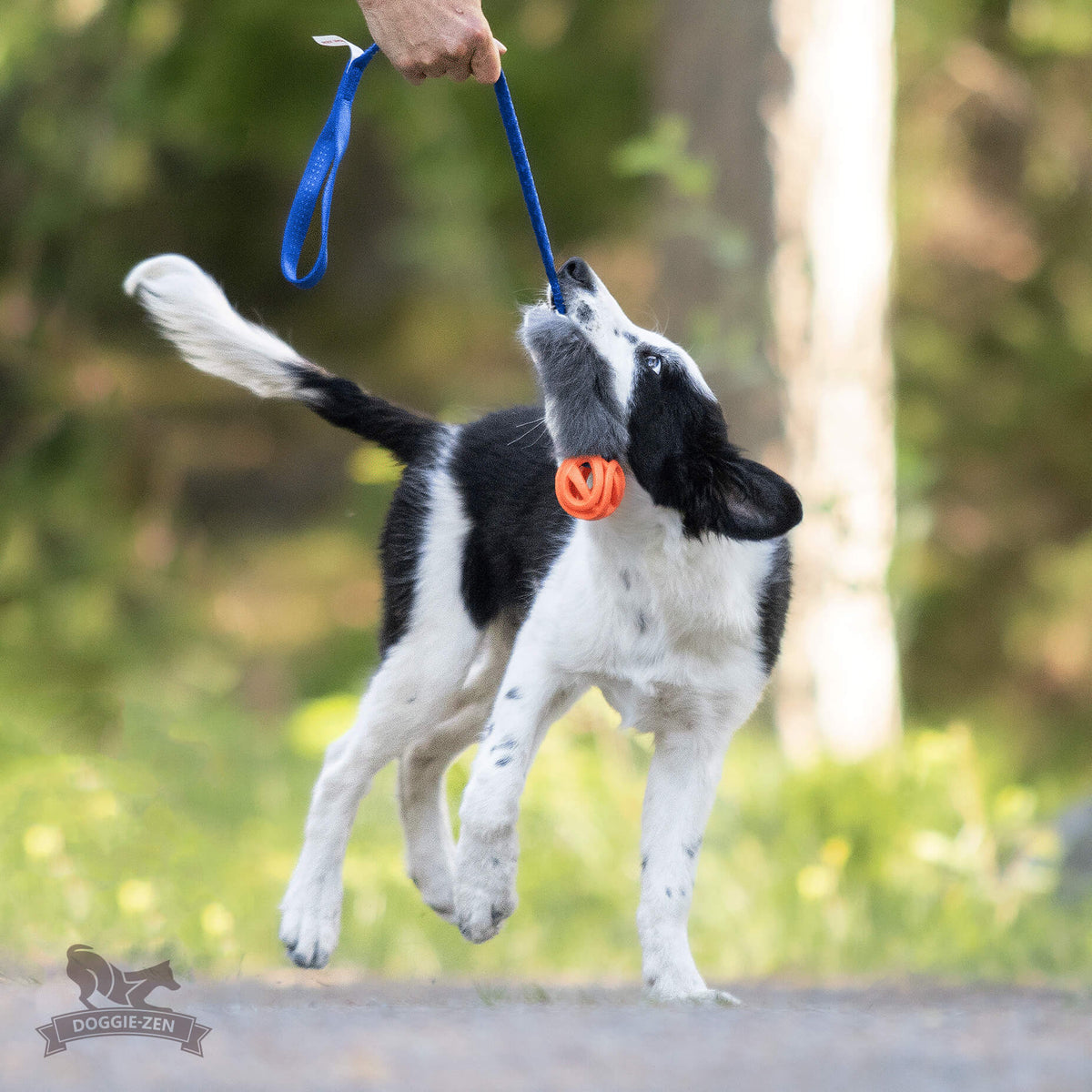 Doggie-Zen Bungee Rabbit Tug S