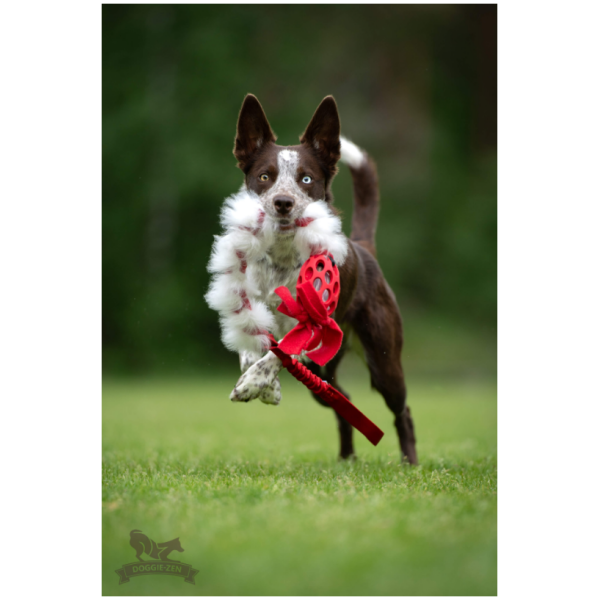 Doggie-Zen Elastic Hol-ee fleece and sheepskin -  Legetøj til hundetræning - Image 3