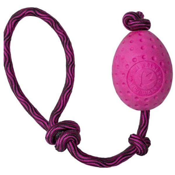 KIWI WALKER Let's Play Egg - Solid bold på snor - Image 2
