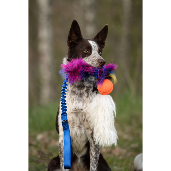Doggie-Zen Dark Rainbow L-  Legetøj til hundetræning