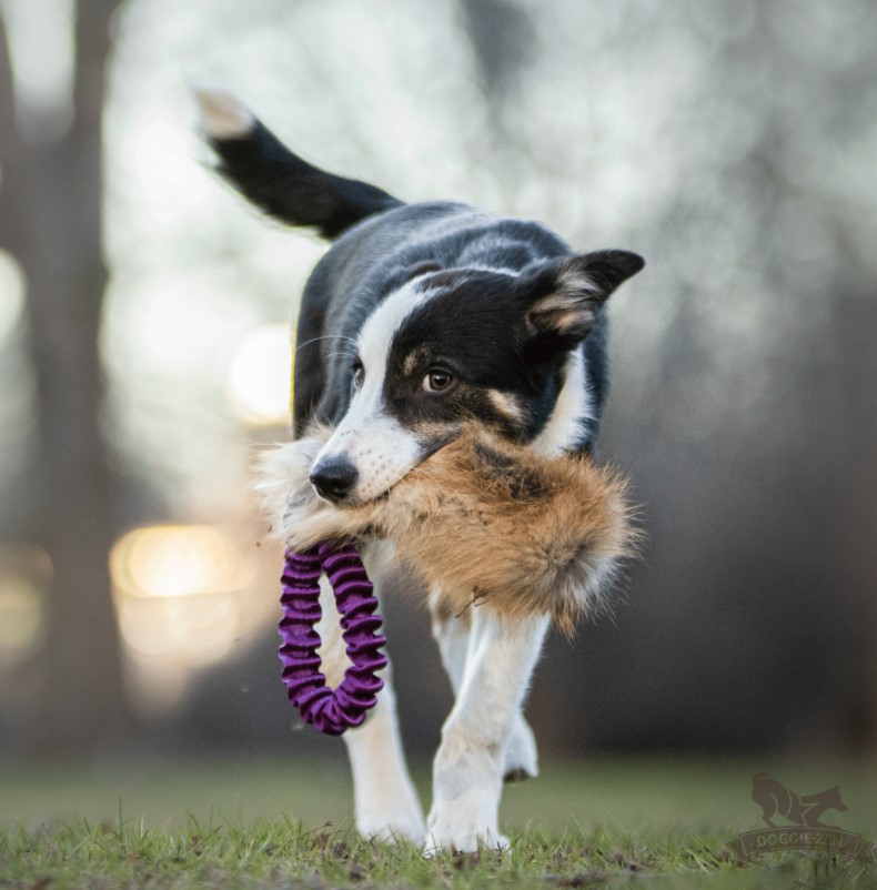 Doggie-Zen Rævepels- Belønningslegetøj til hundetræning