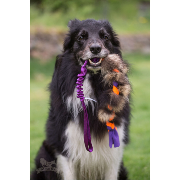 Doggie-Zen fleece og vaskebjørn-  Legetøj til hundetræning - Billede 2