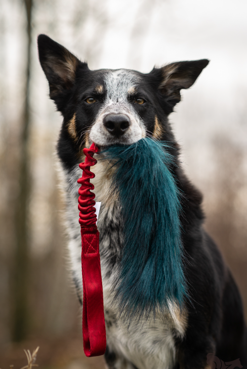 Doggie-zen fake fur tug toy