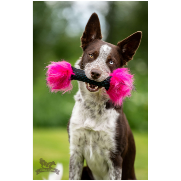 Doggie-zen squeaker