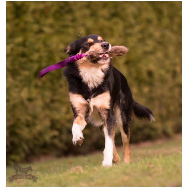 Doggie-zen trækkelegetøj med bæverpels