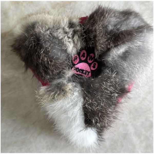 Paws Made
