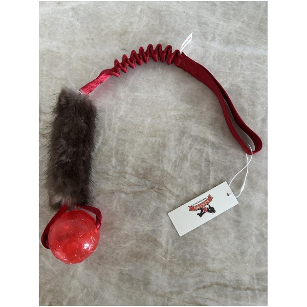 Doggie-Zen Bungee Beaver Tug L with KONG Squeezz - Trækkelegetøj - Billede 2