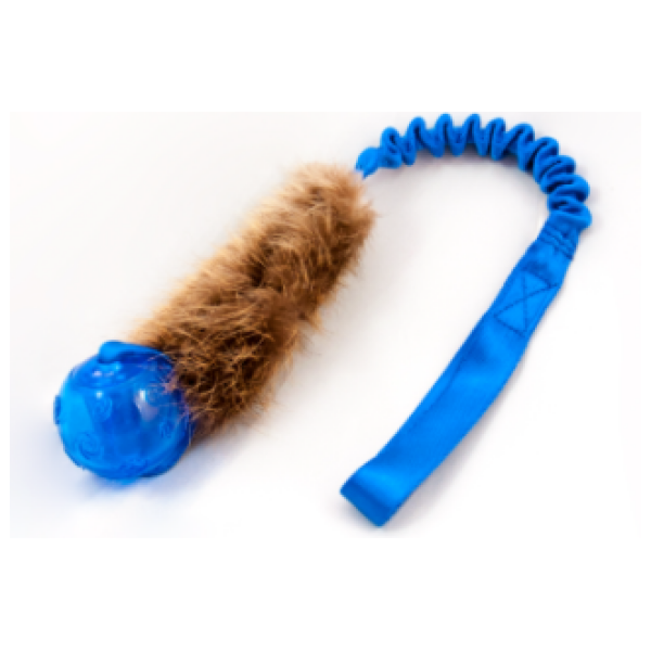 Doggie-Zen Bungee Beaver Tug L with KONG Squeezz - Trækkelegetøj