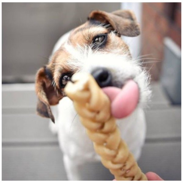Bøffelhud snack hund