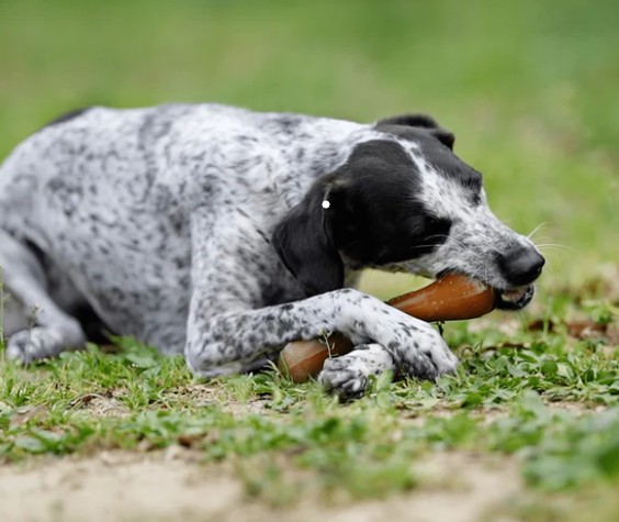 Retorn Rub Bone - Organisk gummi - Billede 3