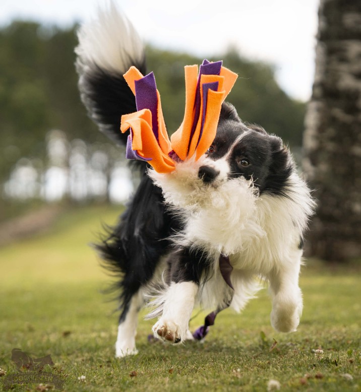 Doggie-Zen Jagtkompis L - Langt belønningslegetøj med pels - Billede 2