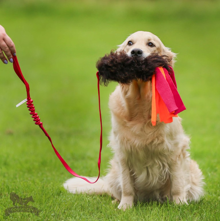 Doggie-Zen Jagtkompis L - Langt belønningslegetøj med pels
